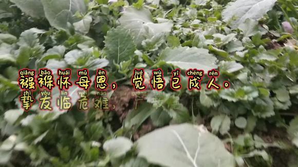 澳门十大赌博正规官网